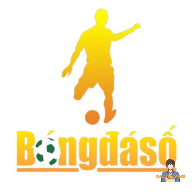Xem bóng đá trực tuyến tại Bongdaso có gì nổi bật