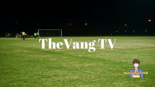 Hướng dẫn xem live bóng đá tại Thevang TV