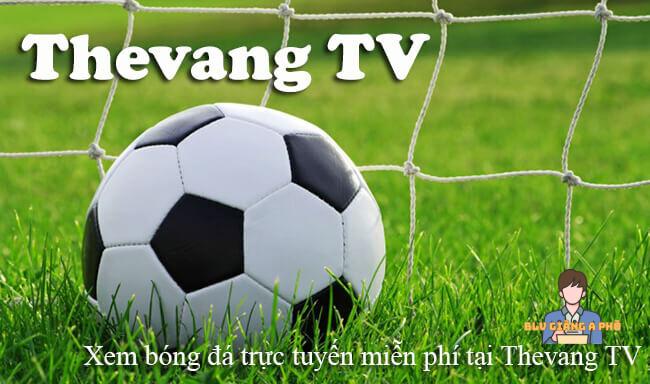 Thevang TV là trang web trực tiếp bóng đá hàng đầu hiện nay
