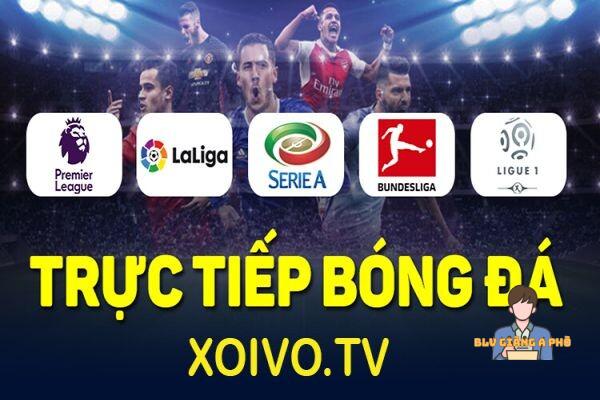 Vì sao nên xem trực tiếp bóng đá tại Xoivo TV