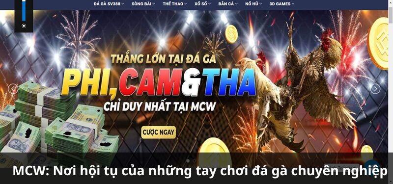 Giới thiệu về MCW