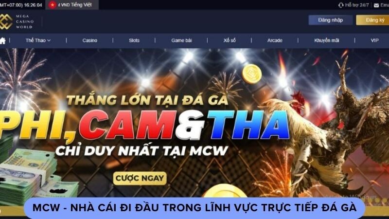 Sự hình thành và phát triển của nhà cái MCW